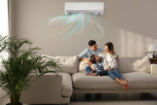 Best HVAC air duct cleaning  in Oldsmar, FL